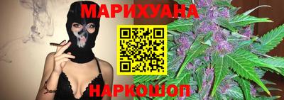 мдпв Кингисепп
