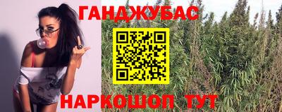 мдпв Кингисепп