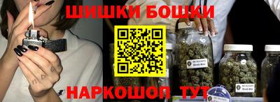 мдпв Кингисепп