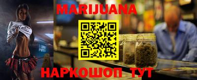 мдпв Кингисепп