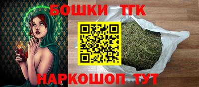 мдпв Кингисепп