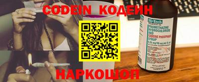 мдпв Кингисепп